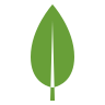 MongoDB